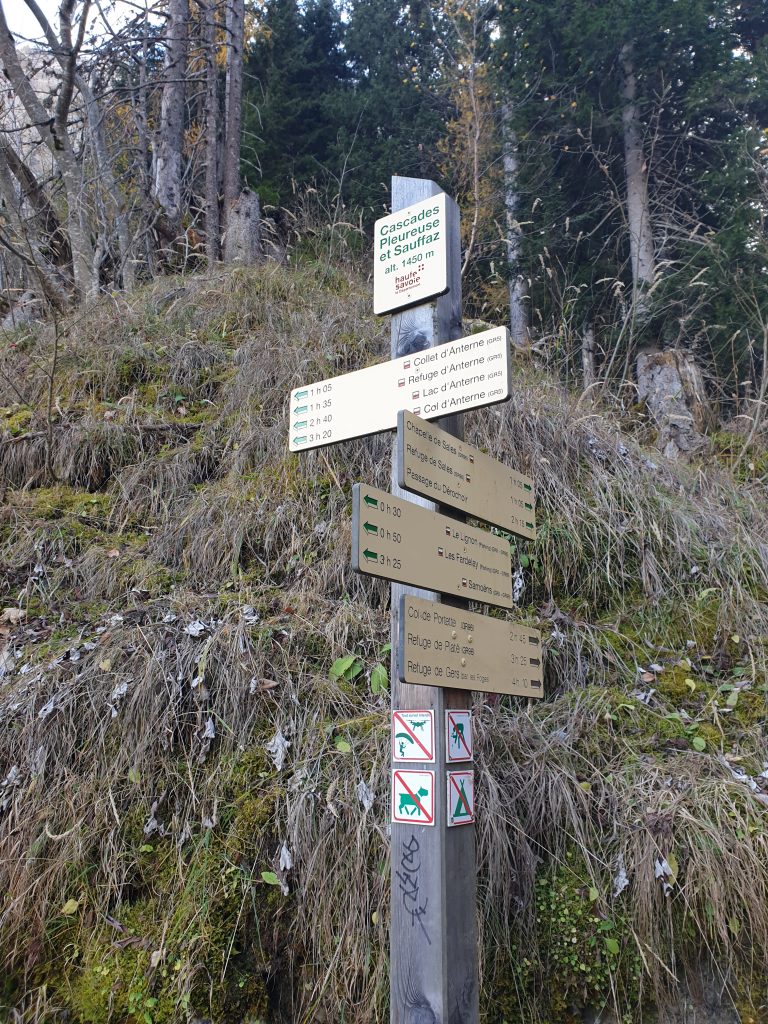 cascade sauffaz et pleureuse