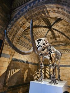 National Museum Londres