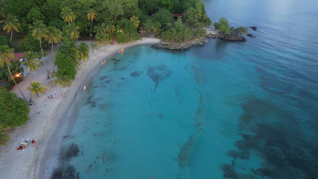 Anse Figuier de nuit