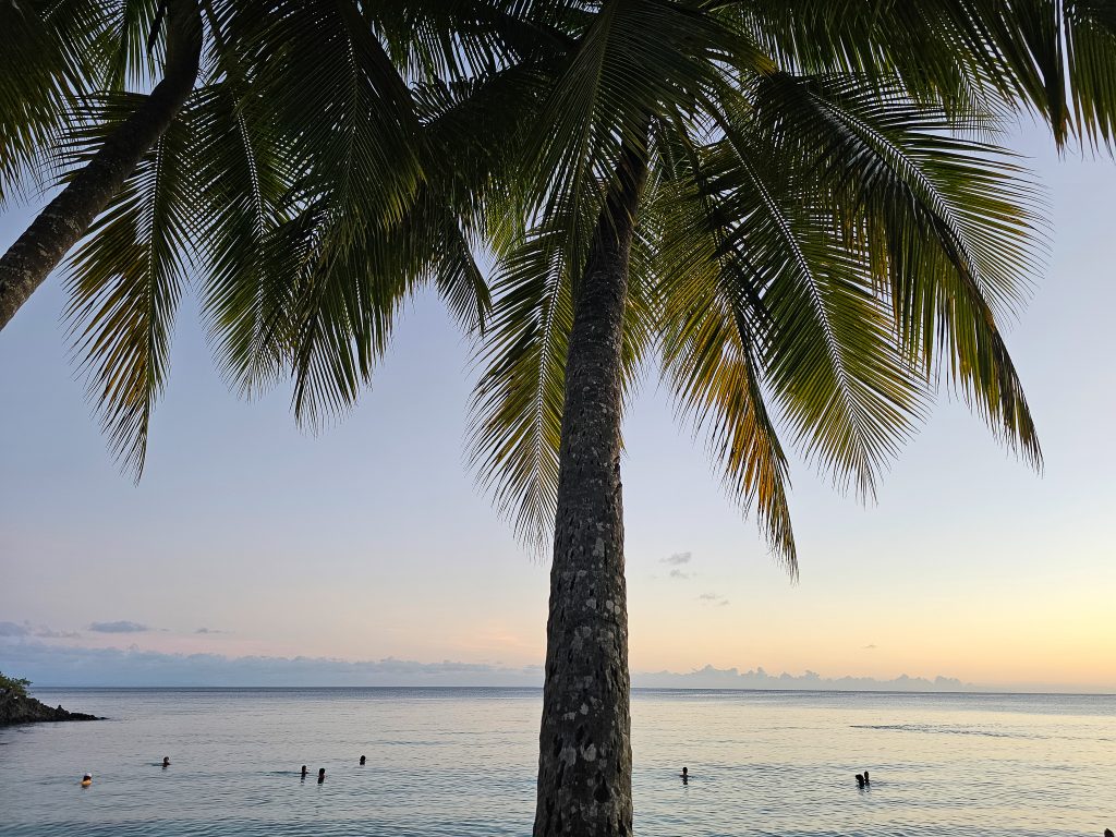 anse figuier