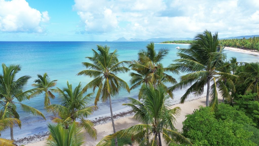 anse figuier