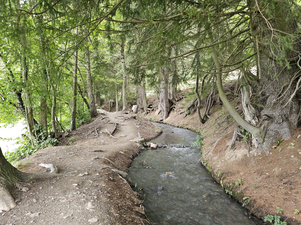 Rando Bisse Torrent neuf