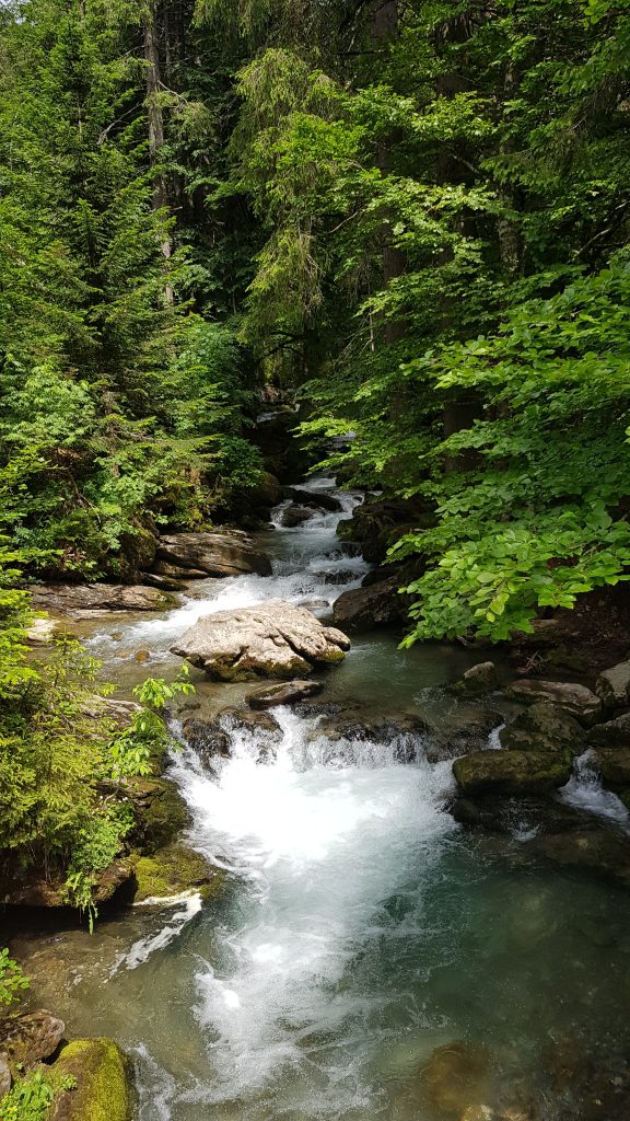 cascade d'ardent lac montriond