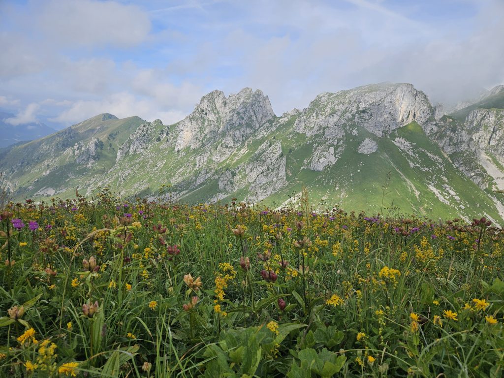 randonnée chablais