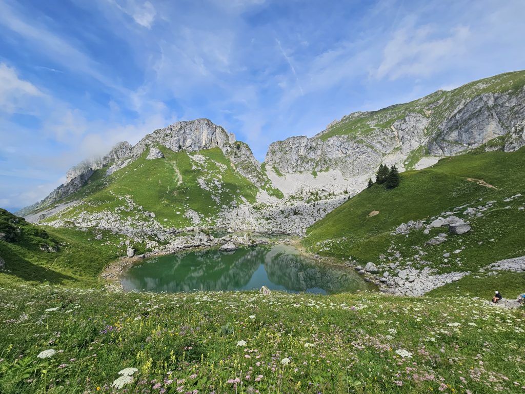 chalets de bise