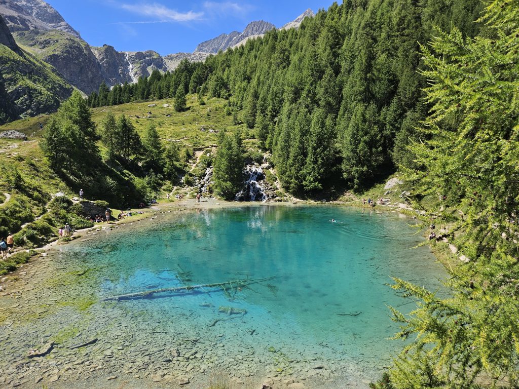 lac arolla