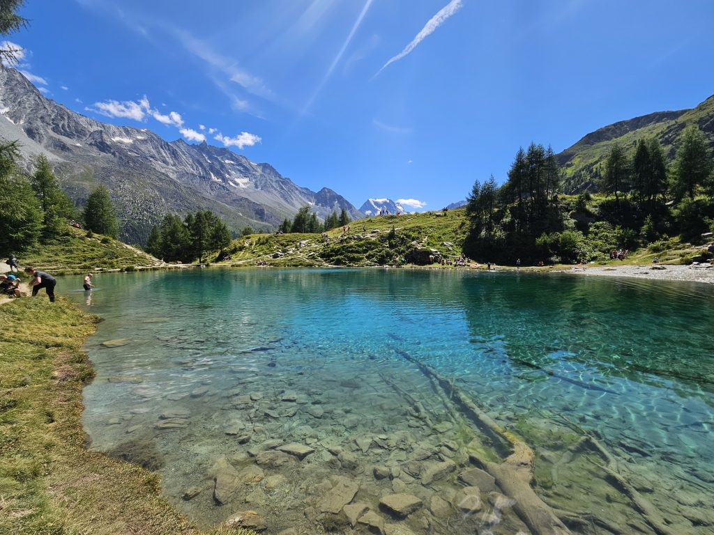arolla